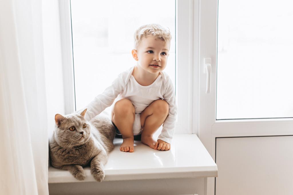 aranyos kis gyerek ül otthon ablakpárkányon szürke brit Rövidszőrű macska - Fotó, kép