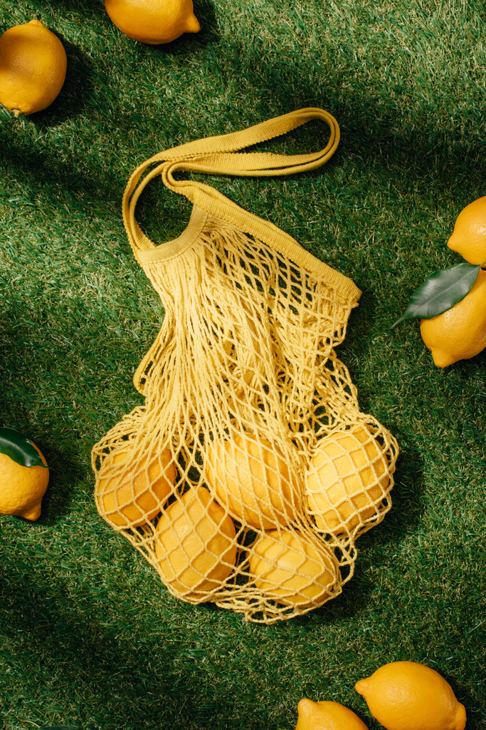 elevated view of lemons and net on green lawn  - Photo, Image
