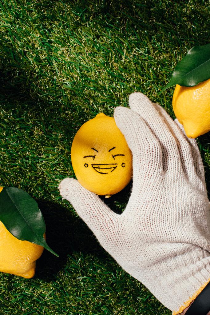 обрізане зображення людини в рукавичці, що тримає лимон з малюнком обличчя
 - Фото, зображення