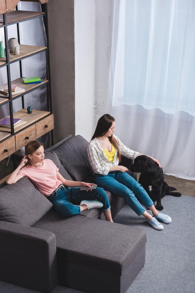 hoge hoekmening van vrouw met afstandsbediening en haar vriendin omarmen zwarte labrador thuis - Foto, afbeelding