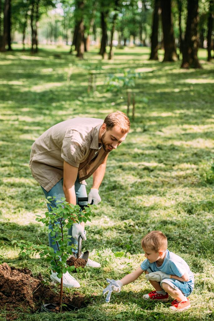 Gelukkig vader en zoon aanplant boom met schop in het park - Foto, afbeelding