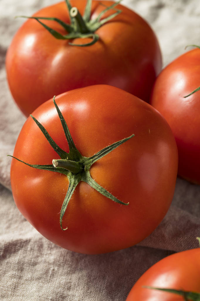 Tomates rouges crues biologiques prêtes à cuire
 - Photo, image