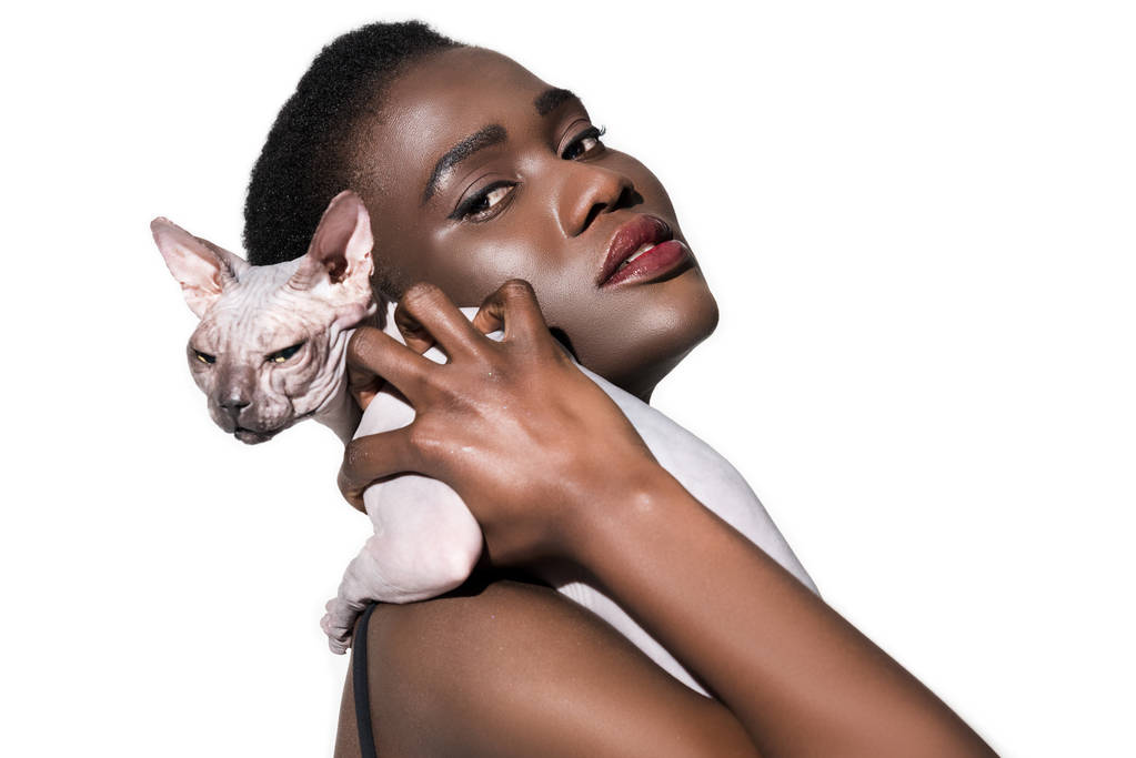 ελκυστική νεαρή αφρικανική αμερικανική γυναίκα κρατώντας sphynx γάτα και να βλέπουν τα φωτογραφικών μηχανών που απομονώνονται σε λευκό  - Φωτογραφία, εικόνα
