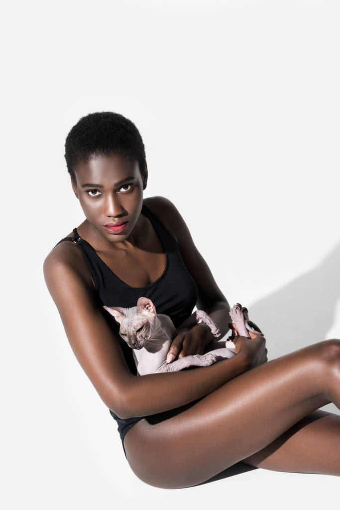 猫と座っていると白のカメラ目線はボディー スーツでのアフリカ系アメリカ人美女のハイアングル ロイヤリティフリー写真 画像素材