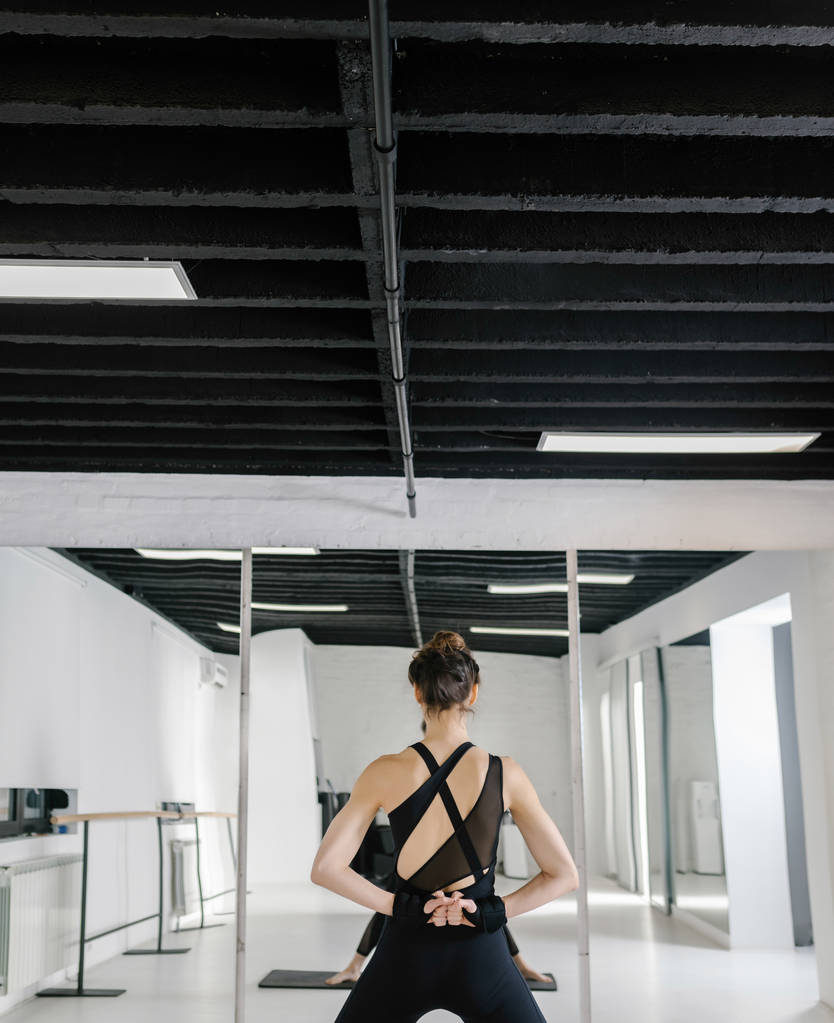 Vista posteriore della donna che fa esercizio del braccio pilates
. - Foto, immagini