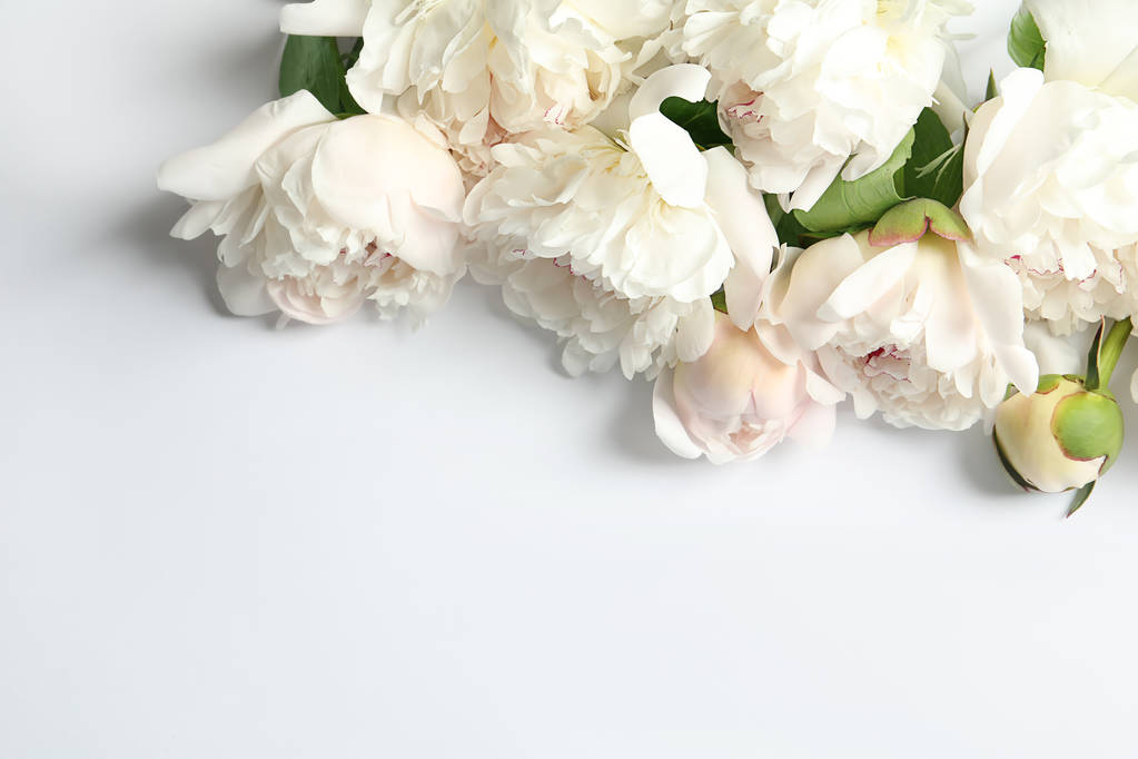 Piękne kwiaty peony kwitnący na białym tle, widok z góry - Zdjęcie, obraz