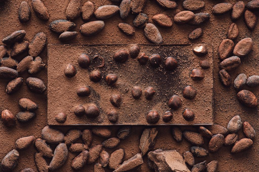 вид сверху на шоколадную плитку с лесными орехами в окружении мускатных орехов, покрытых тертым шоколадом
  - Фото, изображение