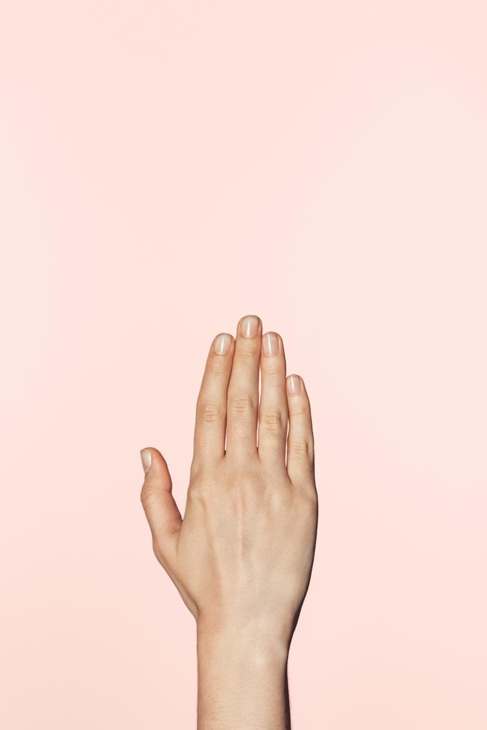  ritagliato colpo di donna gesticolando a mano isolato su sfondo rosa
  - Foto, immagini