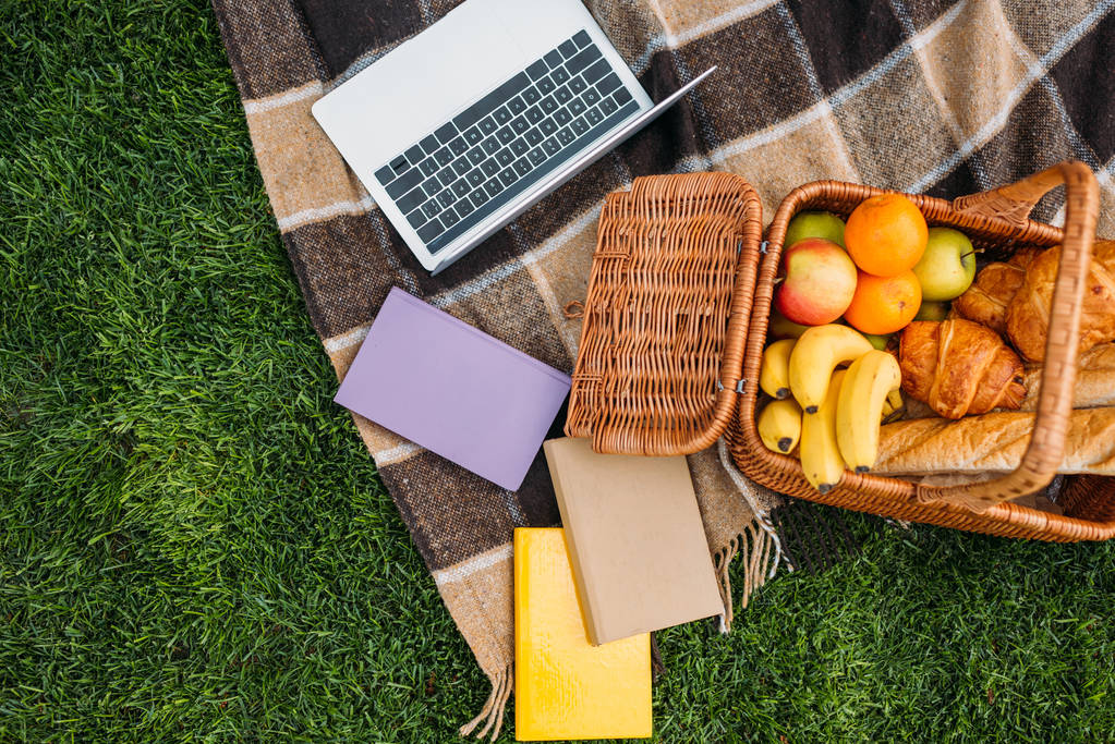 top view of laptop, books and picnic basket on plaid in park  - Photo, Image