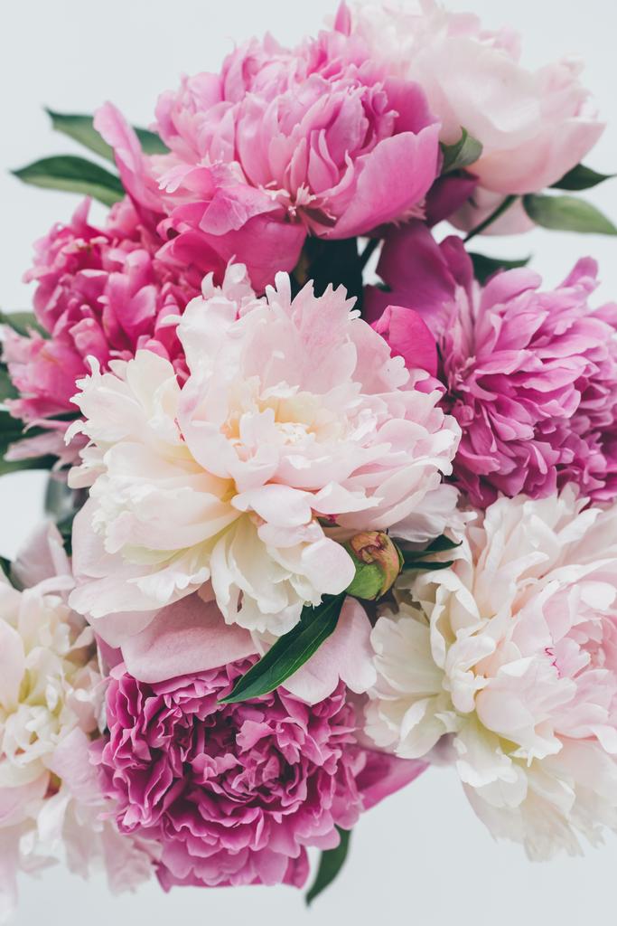 vista dall'alto di bellissimo bouquet di peonia rosa su bianco
 - Foto, immagini