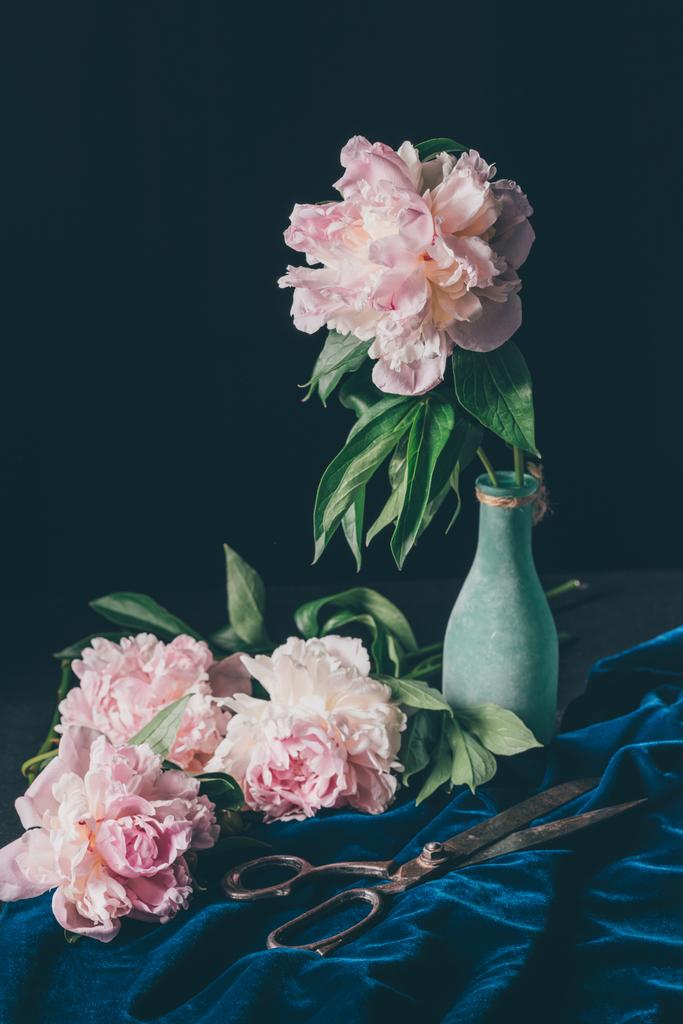 kytice světle růžové pivoňky do vázy s nůžkami na tmavém pozadí - Fotografie, Obrázek
