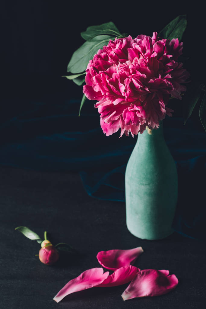 fiore di peonia rosa in vaso con petali su sfondo scuro
 - Foto, immagini