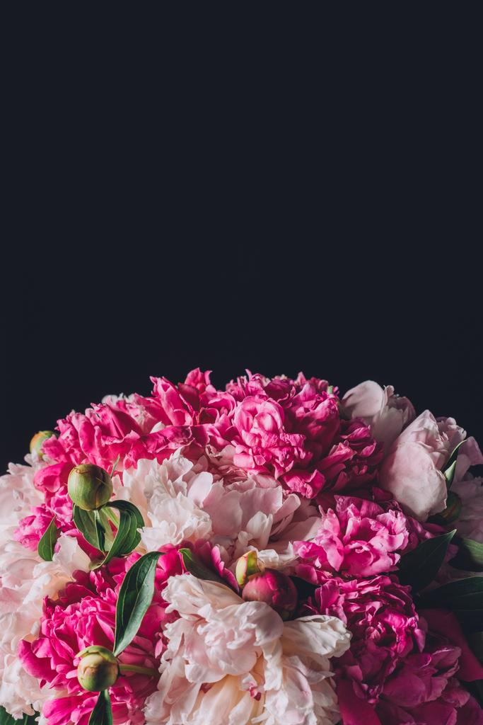 お祝いのピンク牡丹花束、黒コピー領域とに分離 - 写真・画像