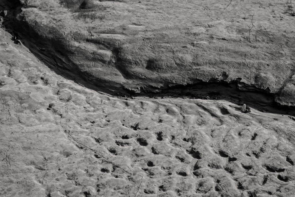 черный сухой грунт текстурированный фон
 - Фото, изображение