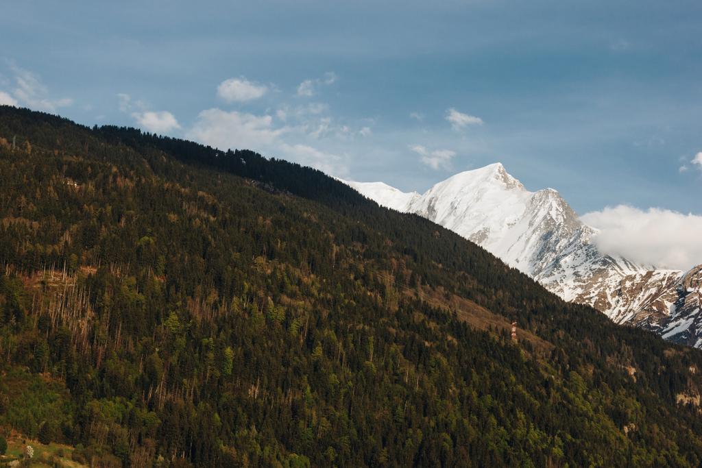 schöne grüne Vegetation und schneebedeckte Gipfel in malerischen Bergen, mont blanc, Alpen - Foto, Bild