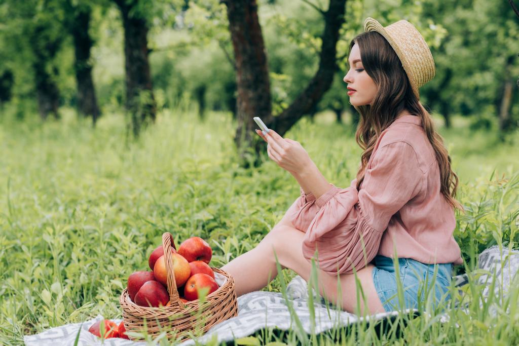 side view of young woman with smartphone resting on blanket with wicker basket full of apples in park - Photo, Image