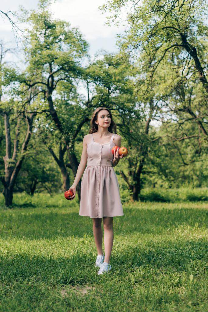 νεαρή γυναίκα στο φόρεμα με ώριμα μήλα περπάτημα στην ύπαιθρο - Φωτογραφία, εικόνα