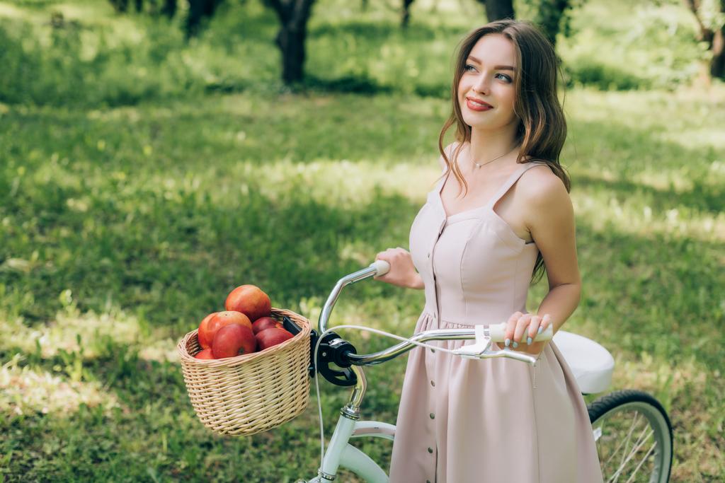 pretty smiling woman in dress holding retro bicycle with wicker basket full of ripe apples at countryside - Photo, Image