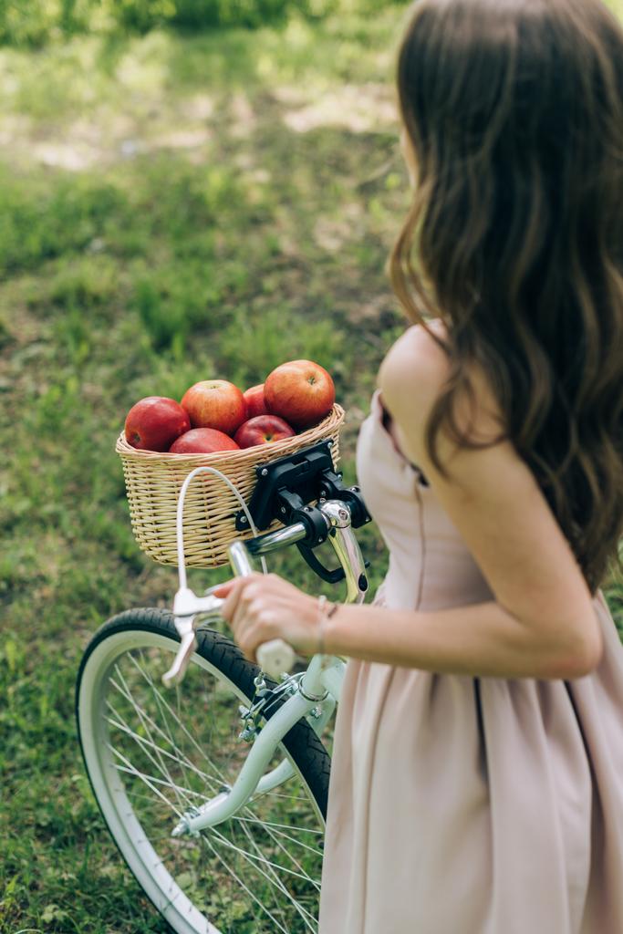 vista parcial de mujer en vestido sosteniendo bicicleta retro con cesta de mimbre llena de manzanas maduras en el campo
 - Foto, Imagen