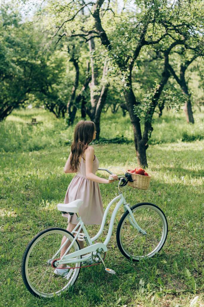 częściowy widok młoda kobieta w sukni przytrzymanie retro rower z wikliny kosz pełen dojrzałych jabłek o wsi - Zdjęcie, obraz