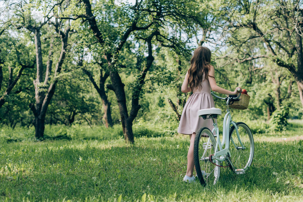 vista trasera de mujer en vestido sosteniendo bicicleta retro con canasta de mimbre llena de manzanas maduras en el campo
 - Foto, Imagen