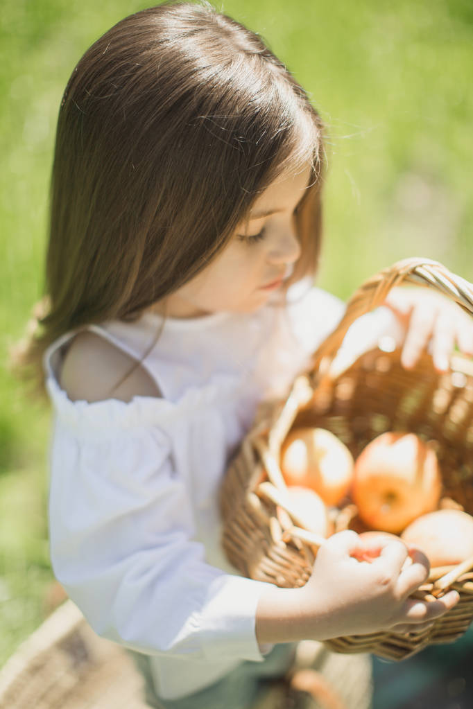 a kislány egy kosár gyümölcs - Fotó, kép