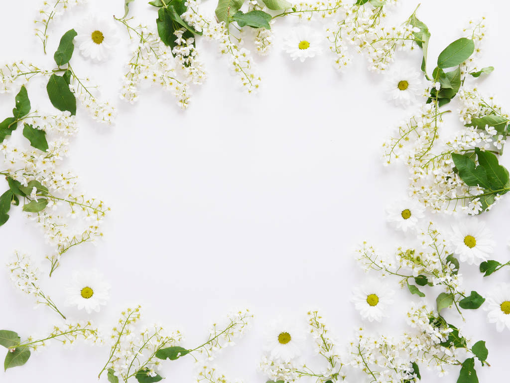 Kukka koostumus valkoinen kukka ja koiranputkea valkoisella pohjalla
 - Valokuva, kuva