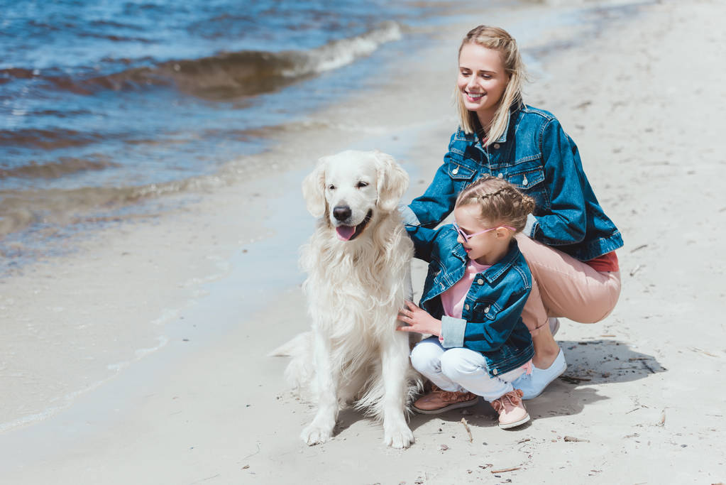 family sitting with golden retriever together on sea shore - Photo, Image