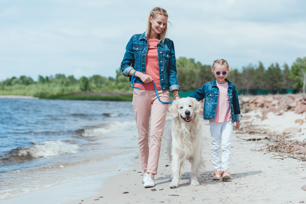 gyönyörű családi séta a kutya, a tenger partján - Fotó, kép
