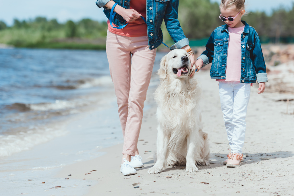 family walking with golden retriever dog on sea shore - Photo, Image