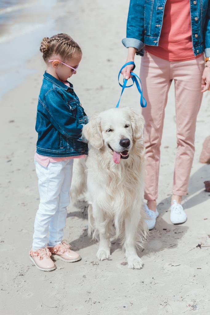 ママと娘の岸にゴールデンレトリーバー犬を連れて歩いて - 写真・画像