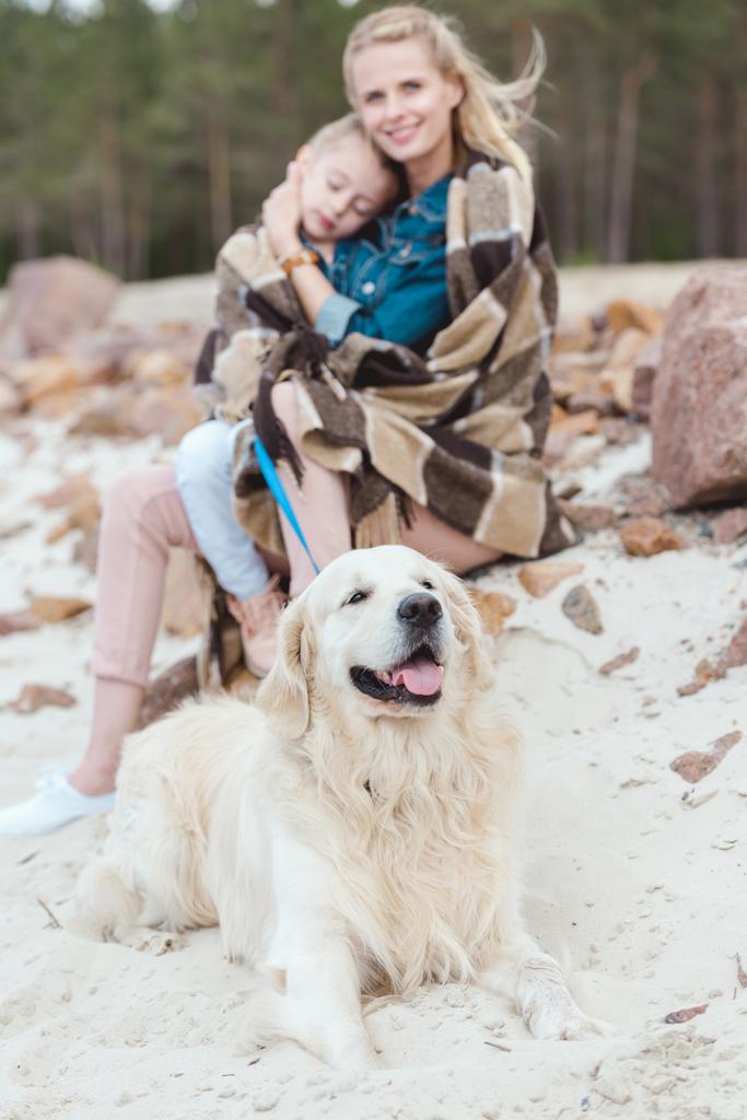 母と海岸にゴールデン ・ リトリーバー犬と一緒に眠っている娘の選択と集中 - 写真・画像