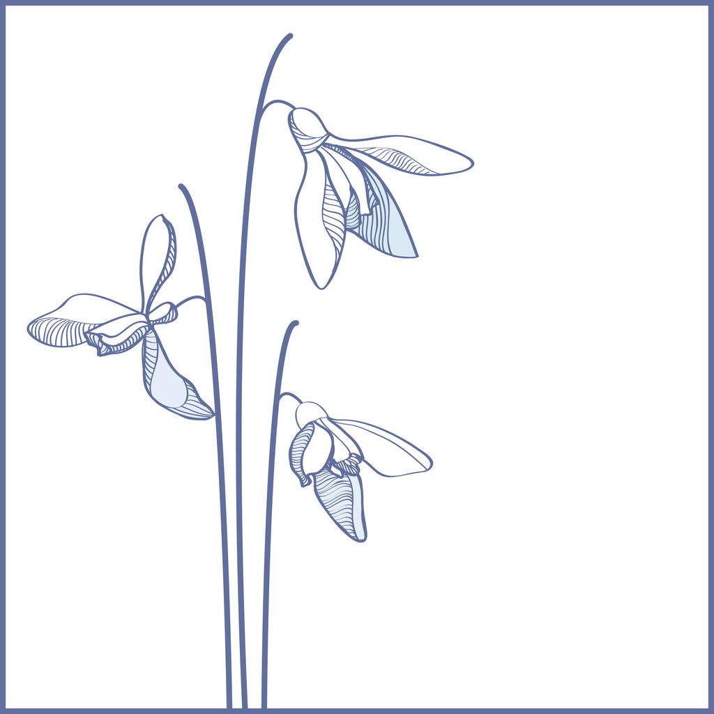 Vector blue flowers card - Vector, afbeelding