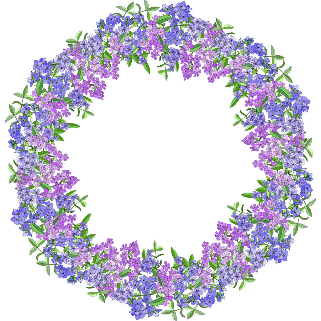 Floral wreath of phlox flowers isolated on white. Excellent print for greeting cards, clothes, fabric, gift box. - Vector, Image