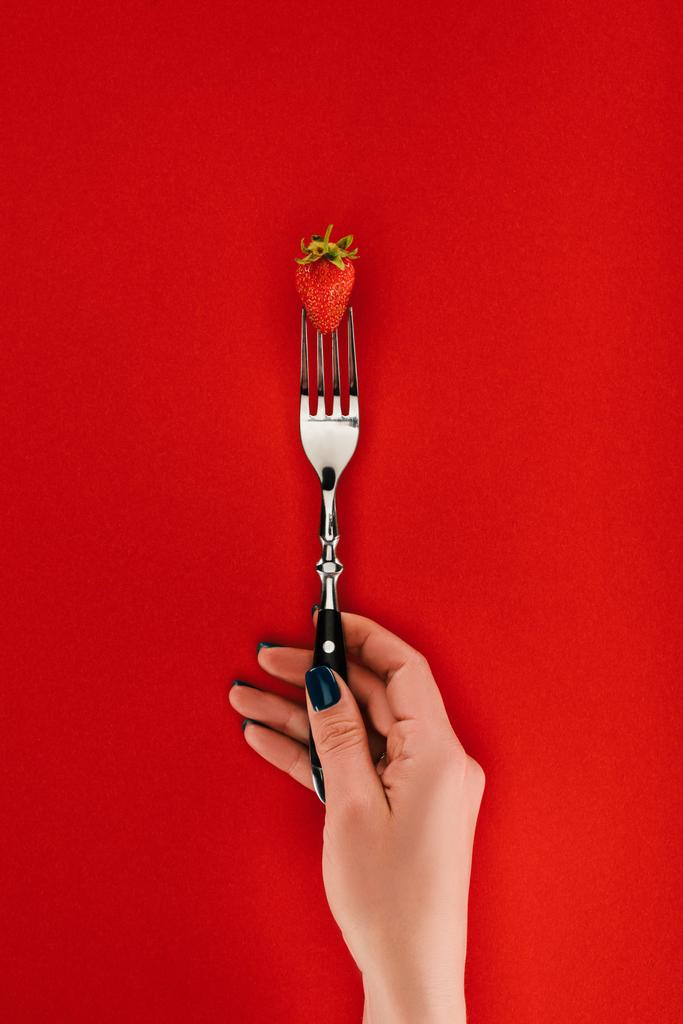 Γυναικείο χέρι που κρατά το πιρούνι με φράουλα που απομονώνονται σε κόκκινο φόντο - Φωτογραφία, εικόνα