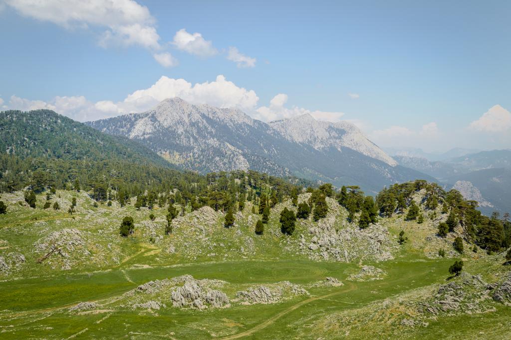 緑の高原、木、晴れた青空、カッパドキア、トルコの下の山の風光明媚なビュー - 写真・画像