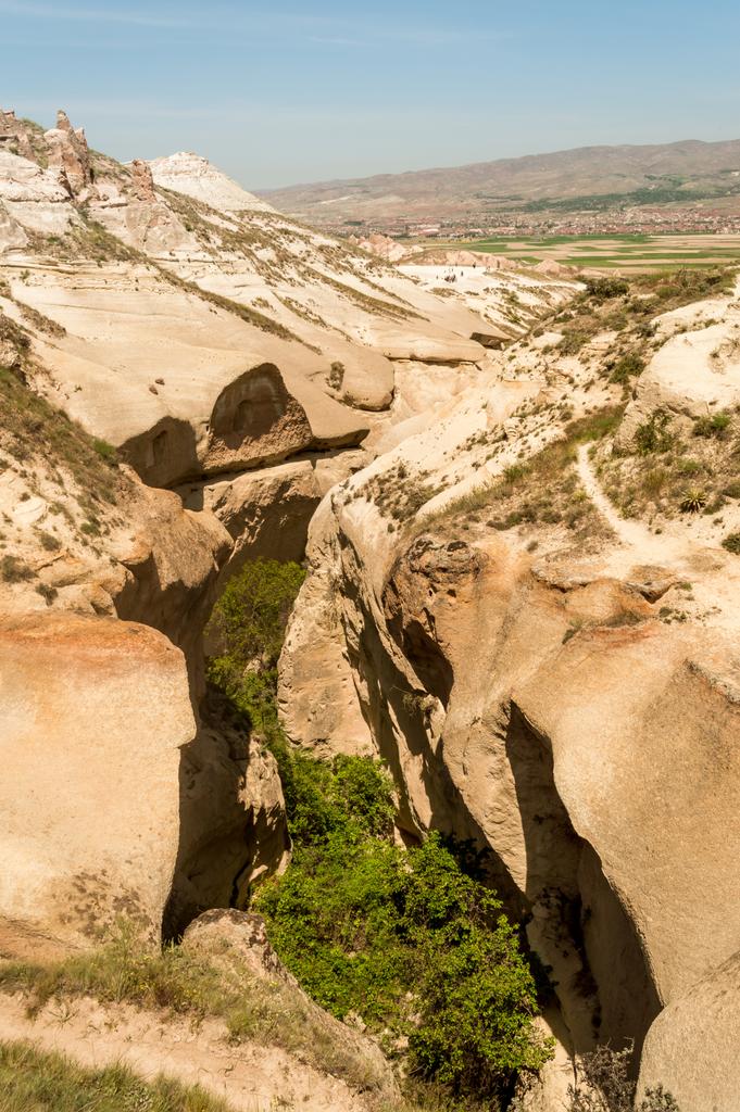 pohled ze sjezdovky a stromy s Panorama za v regionu Kapadocie, Turecko  - Fotografie, Obrázek