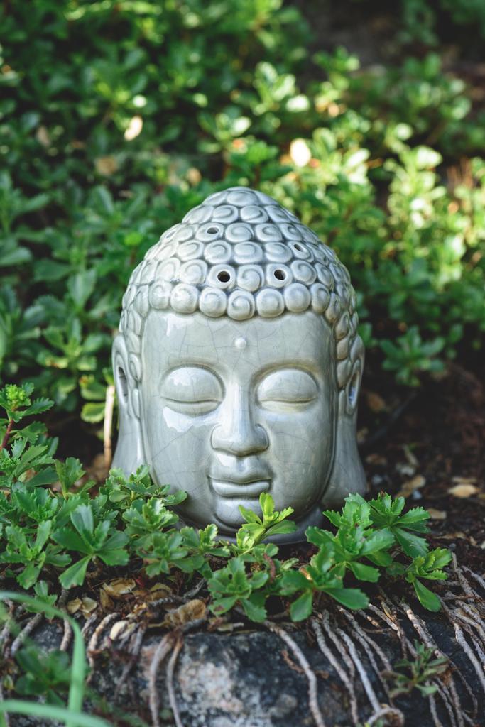 Buddha Kopf auf Stein mit grünen Pflanzen herum im Sommer - Foto, Bild