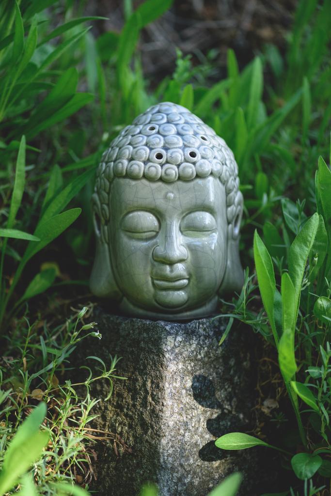 gros plan de Bouddha tête sur pierre avec des plantes vertes autour
 - Photo, image