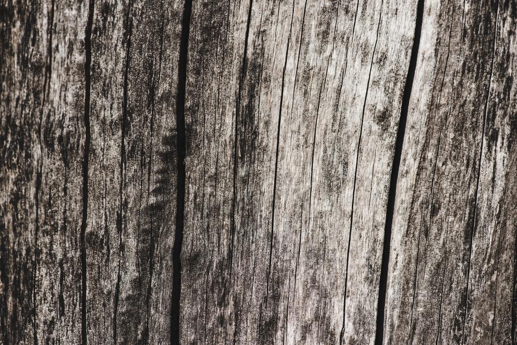 Суха деревина з текстурою з тріщинами фону
 - Фото, зображення