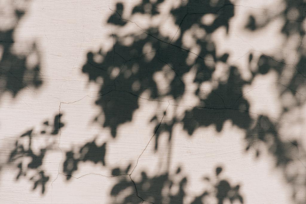 full frame image of wall with shadow of leaves background  - Photo, Image