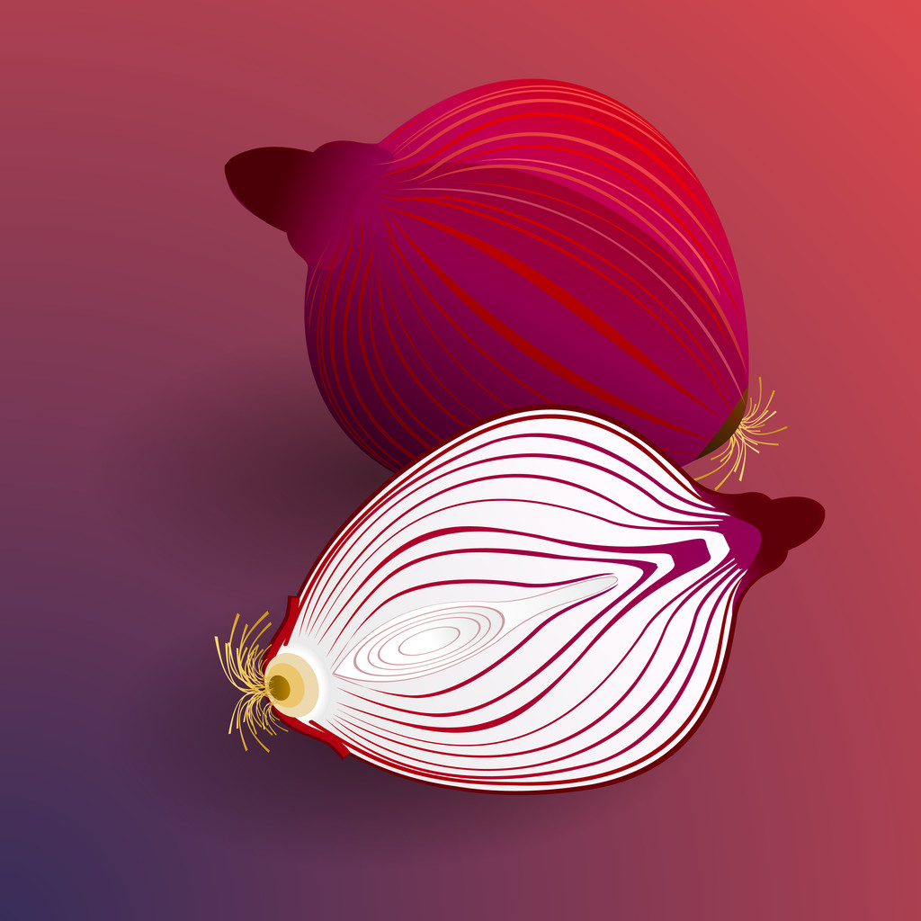 gesneden uien op een rode achtergrond - Vector, afbeelding