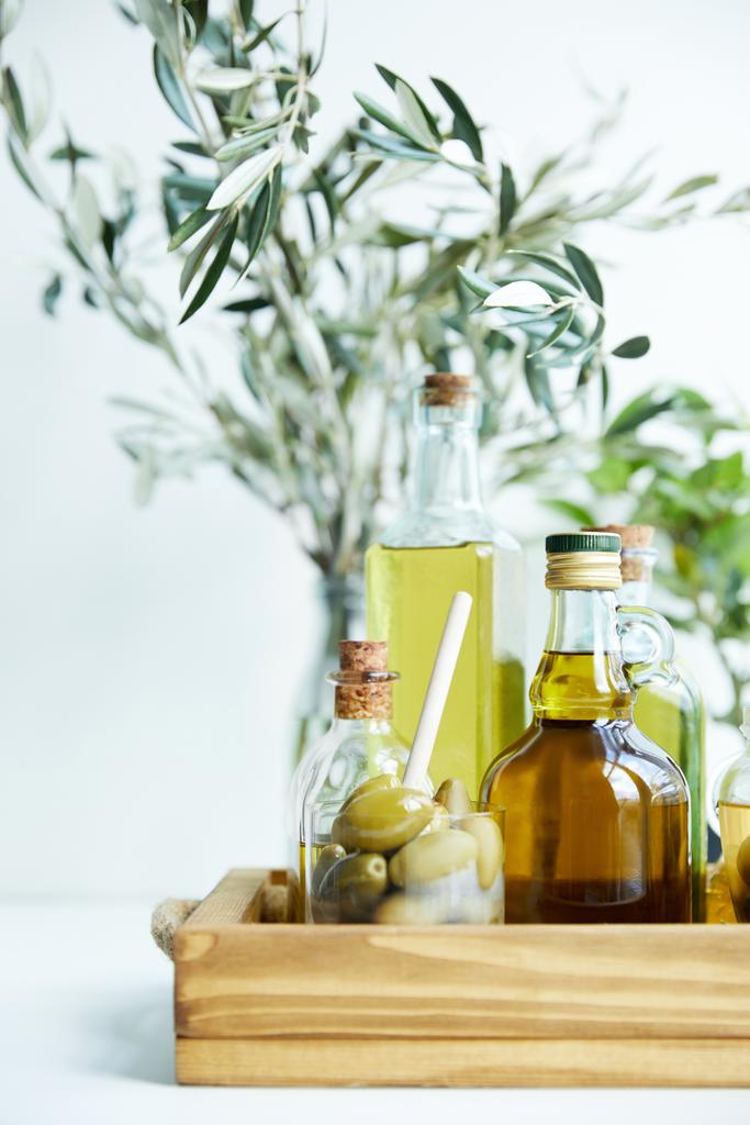 glas met lepel en groene olijven, verschillende flessen van aromatische olijfolie met en takken op houten dienblad - Foto, afbeelding
