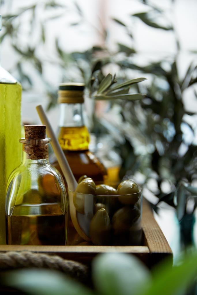 Közelkép arculatának pohár, kanál és zöld olajbogyó, palackok, aromás olaj és ágak-a fa tálcán - Fotó, kép