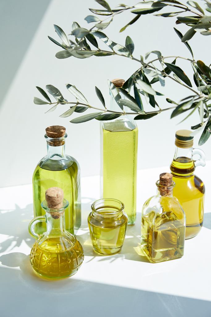 різні пляшки ароматичної оливкової олії, гілок і банки на білому столі
 - Фото, зображення