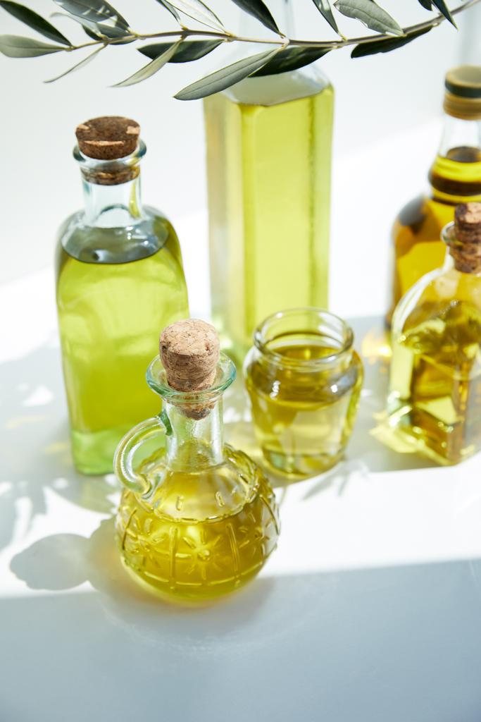 Крупный план бутылок с ароматическим оливковым маслом, ветки и банки на белом столе
 - Фото, изображение
