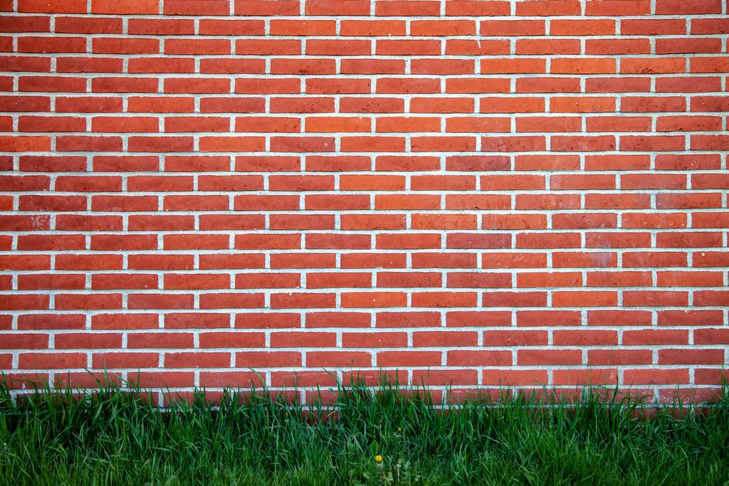 повний каркас цегляної стіни і зелений фон газону
 - Фото, зображення