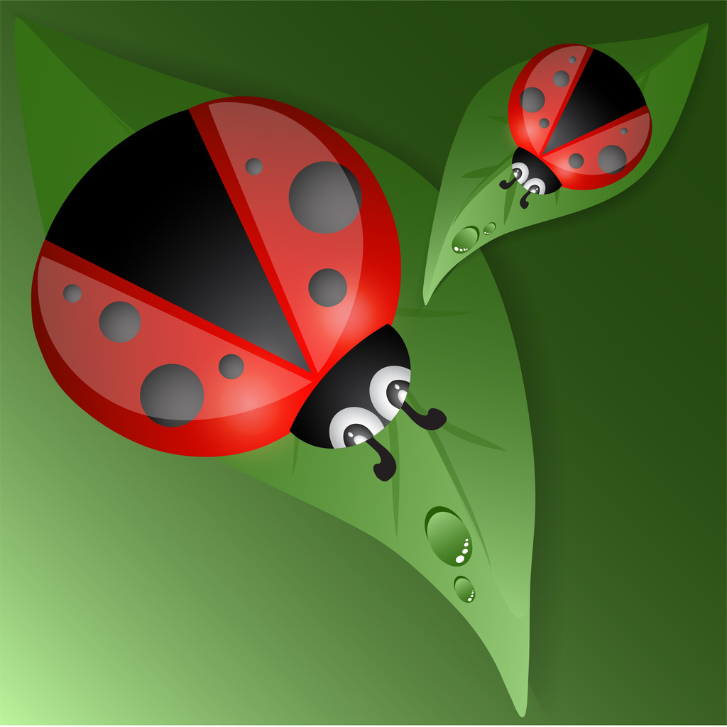 uğur böceği ile yeşil yaprakları tasarım - Vektör, Görsel