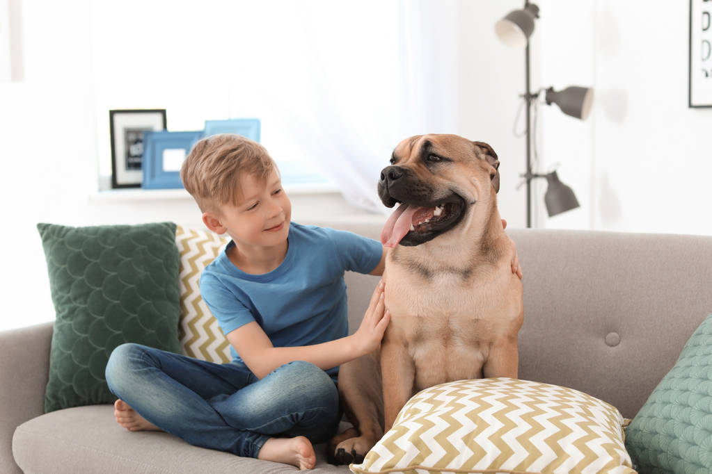 Carino bambino con cane sul divano a casa
 - Foto, immagini