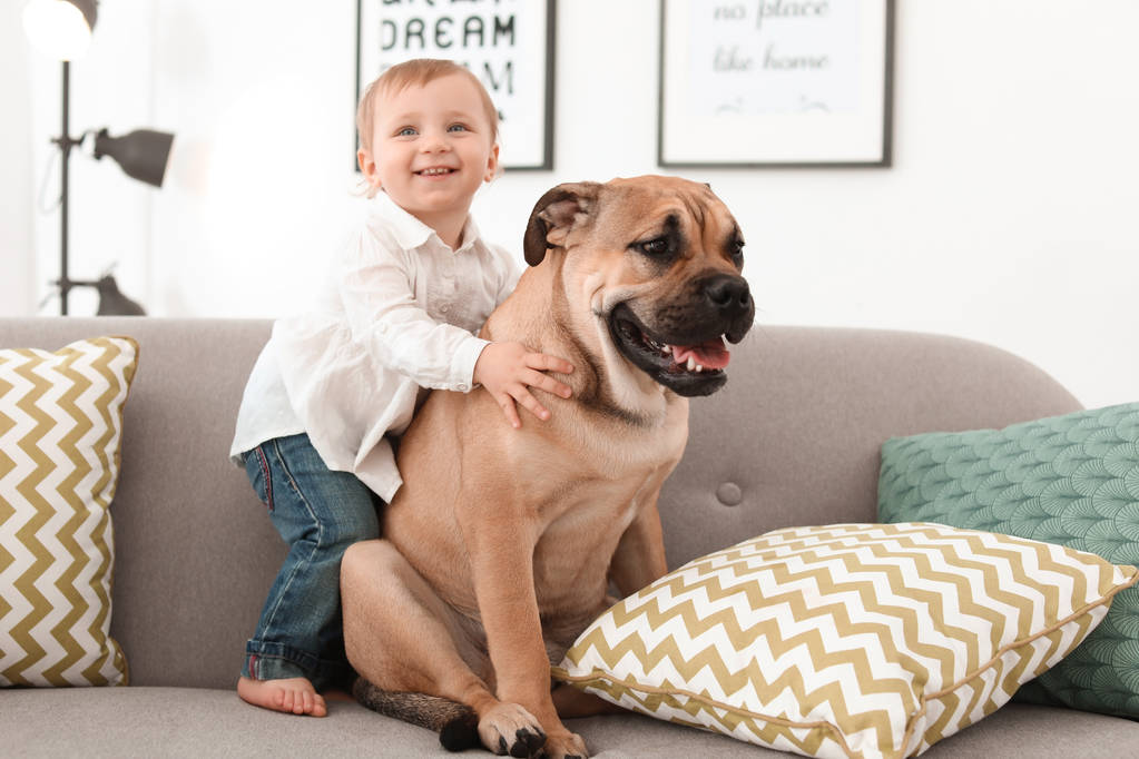 Söpö pieni lapsi koiran kanssa sohvalla kotona
 - Valokuva, kuva